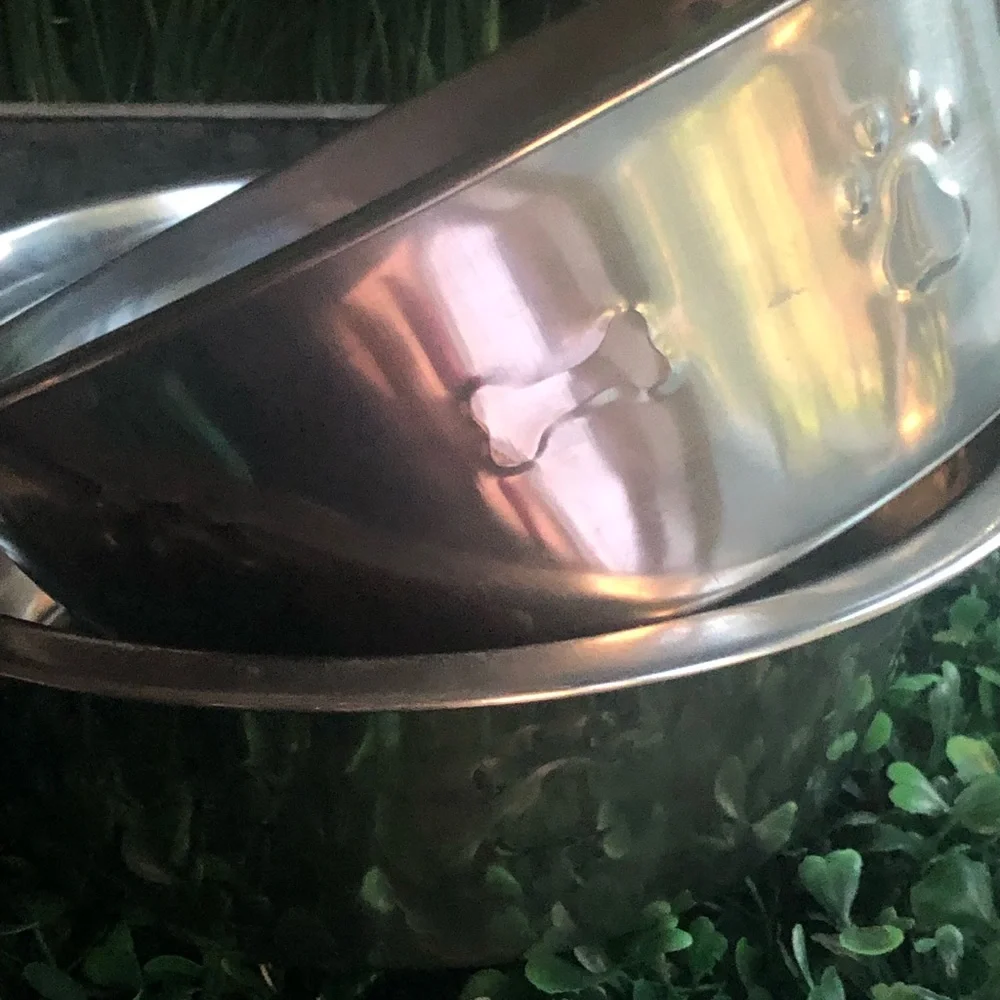 Dog Bowls - Stainless Steel set of two